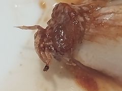-阿英煲.煲烧江南菜(凉城路店)