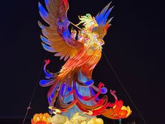 -武汉园博园(武汉自然博物馆)