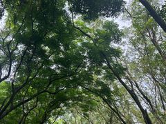 -深圳国际园林花卉博览园