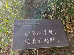 -武陵山森林公园