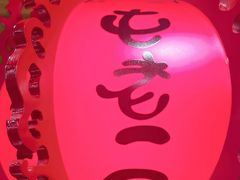 -屯老二农家铁锅炖·行业领军者(梅江店)