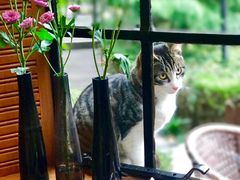 马勒传统下午茶-马勒别墅·中餐厅