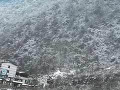 -武陵山森林公园