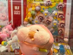 -LLJ夹机占(西直门凯德店)