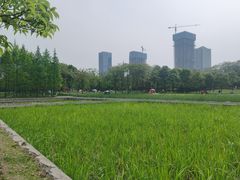 -尚贤河湿地
