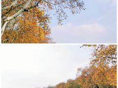 -北山街历史文化街区