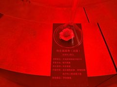 -舒小悦·舒养SPA·古法推拿(光环中心店)