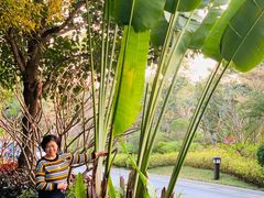 -西双版纳融创皇冠假日度假酒店