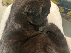 -平行世界·猫咖(首经贸店)