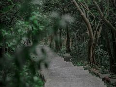 -小南山公园