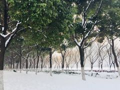 -南京奥林匹克体育中心-体育馆