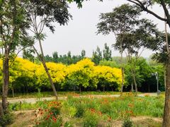 -东郊湿地公园