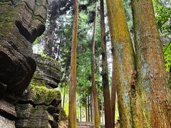 -梭布垭石林景区