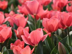 -玄武湖景区-情侣园游乐场