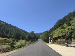 -苏木山森林公园
