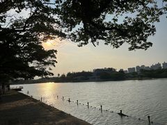 -江心屿景区