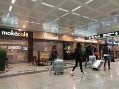 -米兰马尔彭萨国际机场