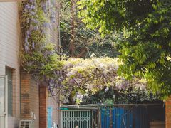 -四川大学(望江校区)
