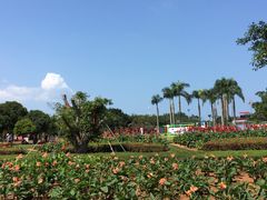 -万绿园