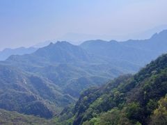 -大岭沟猕猴桃谷风景区
