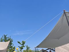 -春花秋色城市公园