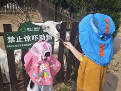 -日照海滨国家森林公园