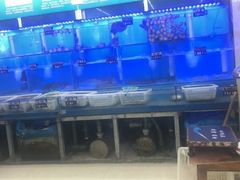 -日照大牌檔•小船海鲜(万平口店)