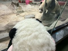-栾川竹海野生动物园