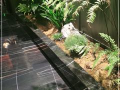 -青螺餐厅·家宴(松雅湖店)