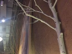 -四小姐的店(泉舜店)