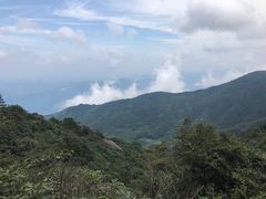 -大围山国家森林公园