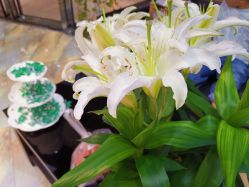 -永琪美容美发全国直营连锁