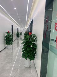 点击看大图 -悟空祛痘
