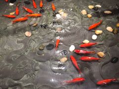 -四季民福烤鸭店(前门廊房二条店)