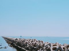 -东疆建设开发纪念公园