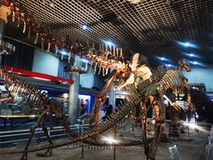 -国家自然博物馆