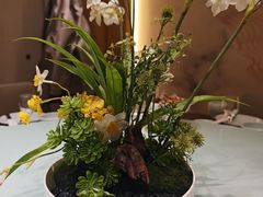 -隆喜元鱼汤包·海鲜(中联广场店)