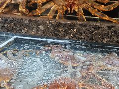 -宴周康·精致江浙菜(周浦店)