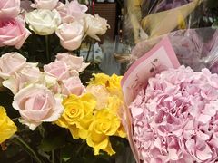 -谷莠子花艺·气球派对·绿植造景·花艺沙龙(金光华广场店)