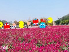 -顺峰山公园