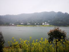 -新安江山水画廊风景区