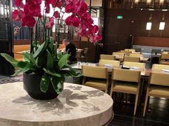 大堂-长沙君悦酒店·自助餐厅咖啡厅