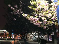 -中央公园(苏州工业园区)
