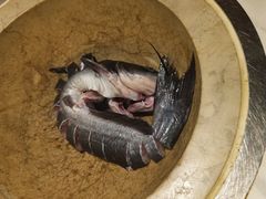 -云海肴云南菜·蒸汽石锅鱼(新奥店)