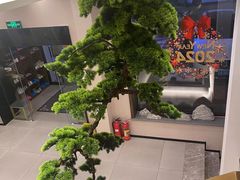 -正清和·推拿养生(二七广场店)