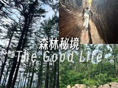 -鲁山国家森林公园