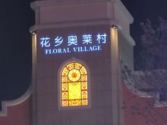 -城南老友羊蝎子火锅(花乡奥莱店)