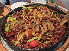 -老板恋上鱼(恒隆广场店)