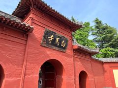 -洛阳白马寺