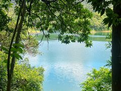 -佛山市三水区大南山森林公园